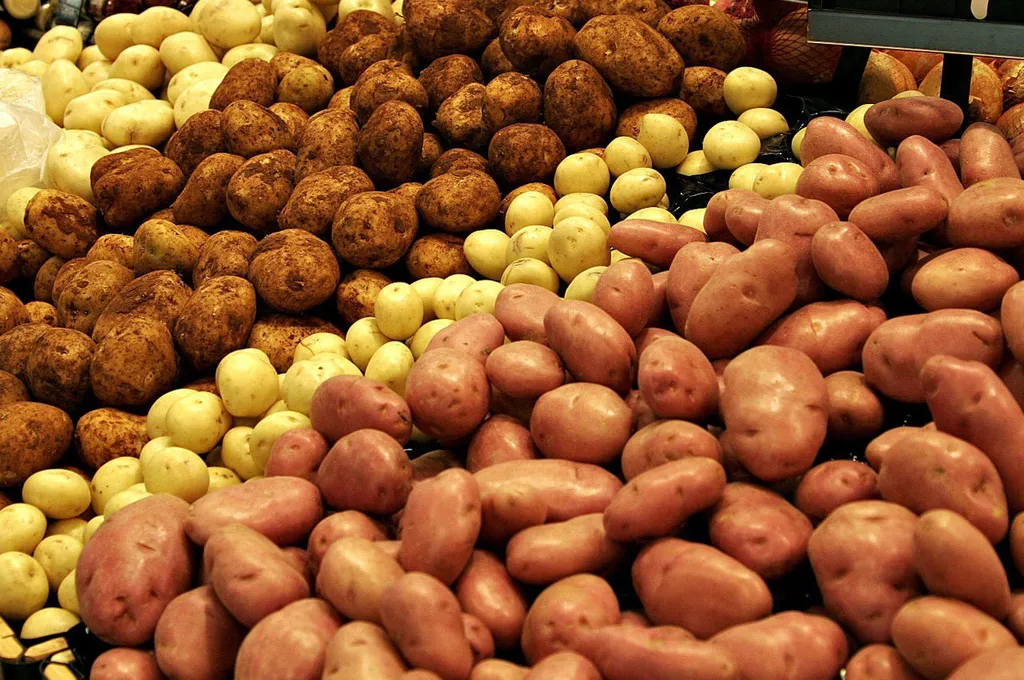 картофель в Саранске