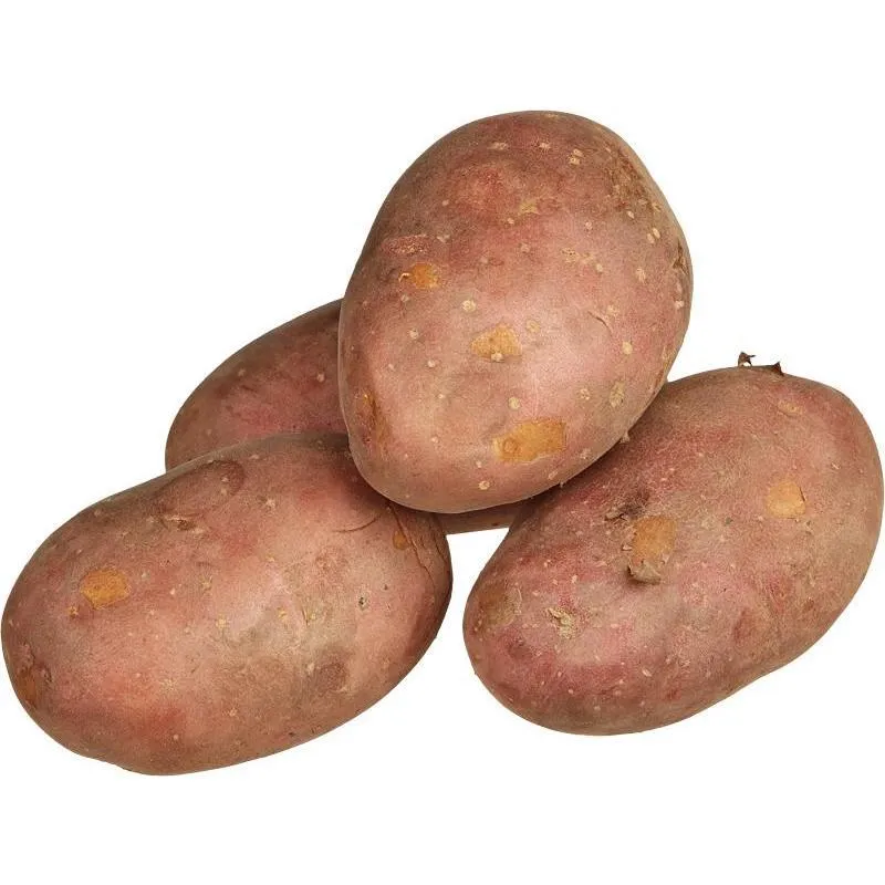 картофель оптом, объем больше 1000 тонн в Саранске и Республике Мордовия
