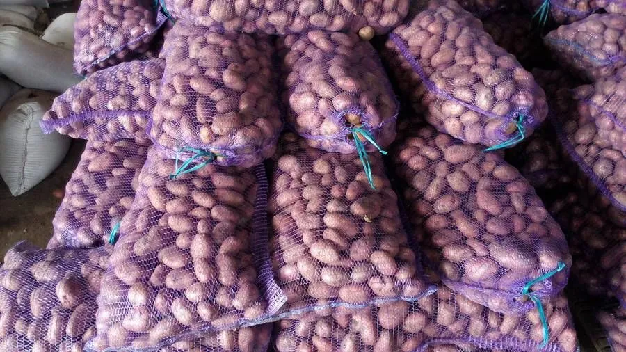 картофель оптом от 5 тонн в Саранске 2