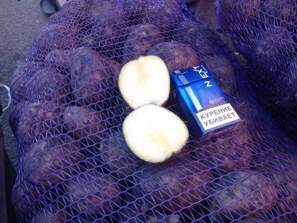 картофель оптом от 5 тонн в Саранске 3