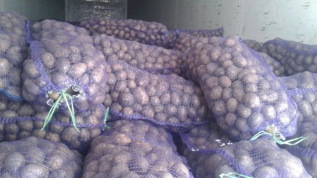 картофель оптом от 5 тонн в Саранске